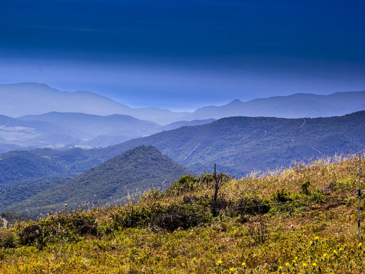 Corbires Minervois Tourisme, Le fer oubli du Plateau de Lacamp