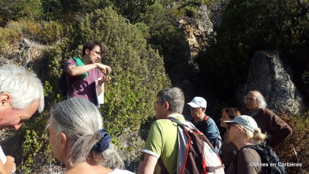 Balade aux mines de Tistoulet  Padern