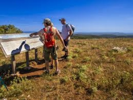 Balade culturelle sur le plateau de Lacamp  Palairac